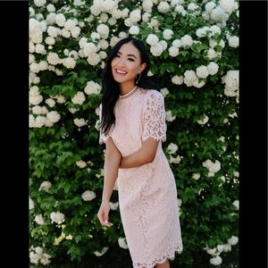 Rachel Parcell Romantic Lace Sheath Dress